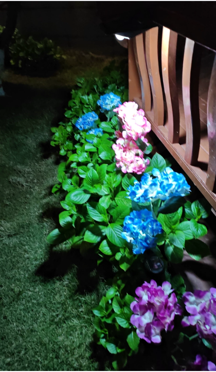 Solar Hydrangea Lantern, IP65 Waterproof, Auto On/Off at Dusk, 6-12H Lighting, 1-3㎡ Coverage, Stainless Steel, Outdoor Garden Decoration