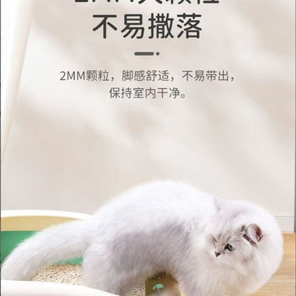 Cat Litter