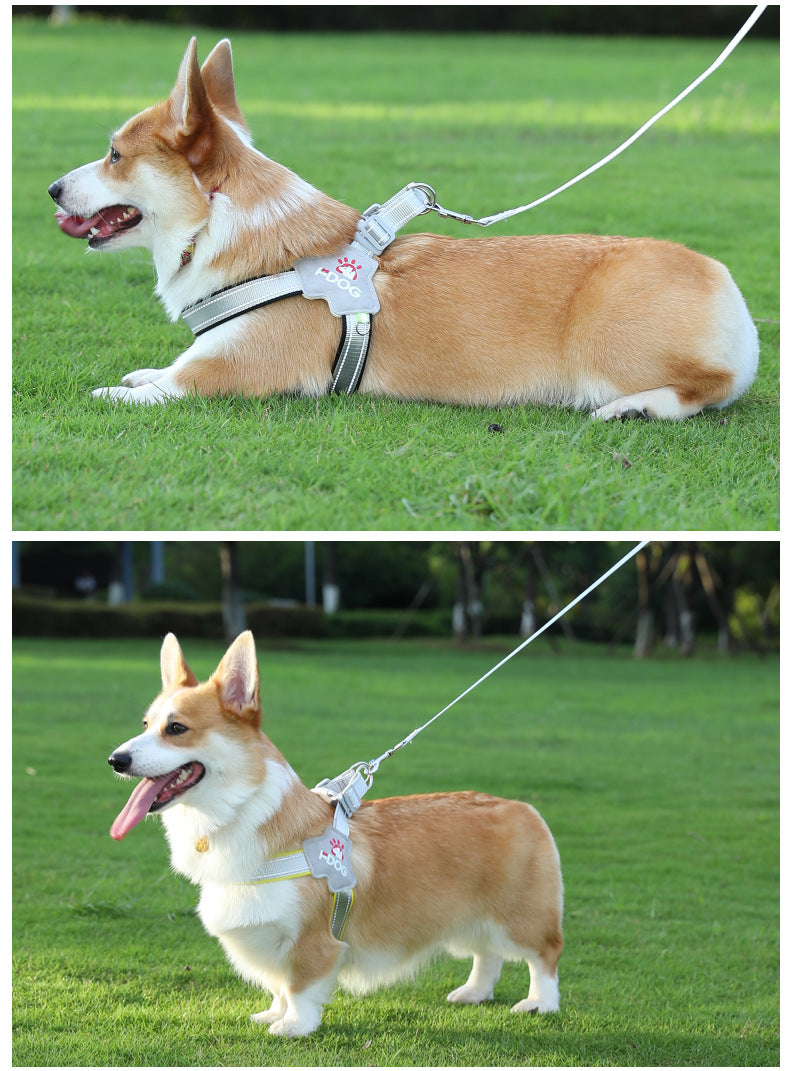 Y trapezoid hammer for dogs, adjustable, with reflectors, leash included, anti-leakage safety