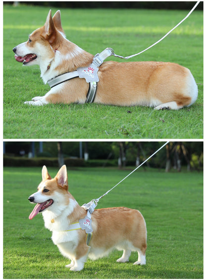 Y trapezoid hammer for dogs, adjustable, with reflectors, leash included, anti-leakage safety