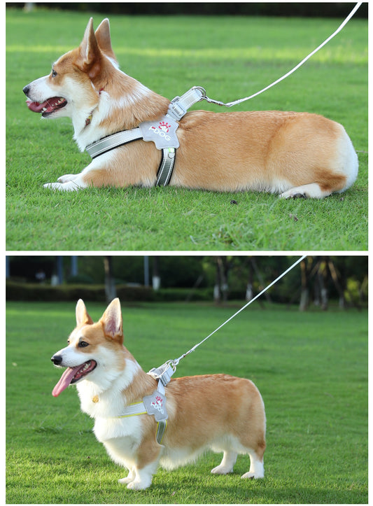 Y trapezoid hammer for dogs, adjustable, with reflectors, leash included, anti-leakage safety
