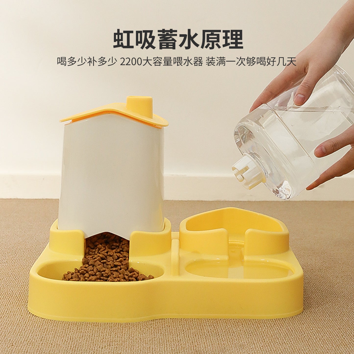 Food and Water Bowl