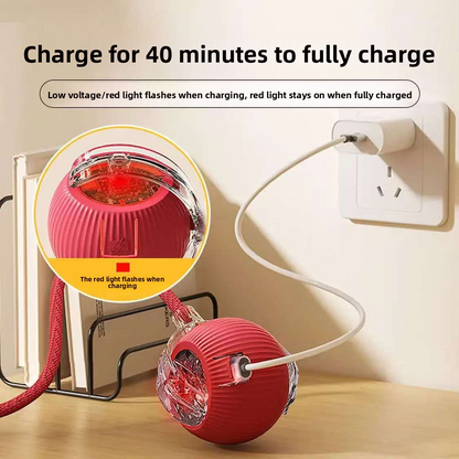 Smart Automatic Moving Cat Toy