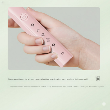 S6 Sonic Electric Toothbrush, 40,000 vibrations/min, IPX7, 5 modes, USB, fast shipping