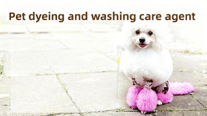 Paint pet dogs cats, 80ml, multiple colors, intense shade, safe, easy to apply, professional care