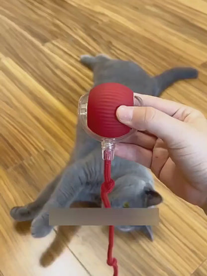 Smart Automatic Moving Cat Toy