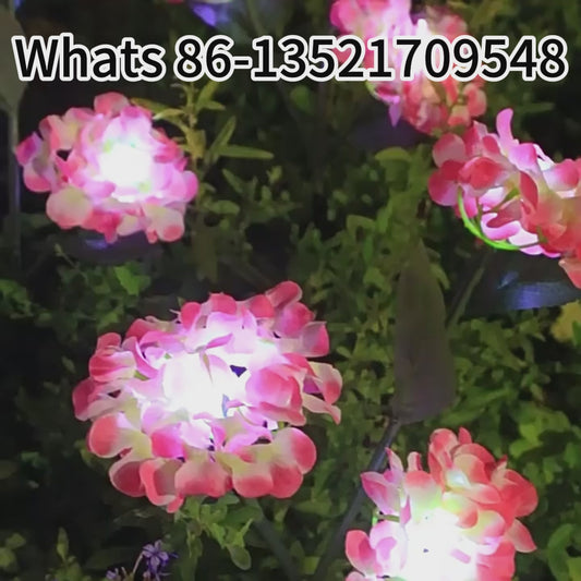 Solar Hydrangea Lantern, IP65 Waterproof, Auto On/Off at Dusk, 6-12H Lighting, 1-3㎡ Coverage, Stainless Steel, Outdoor Garden Decoration