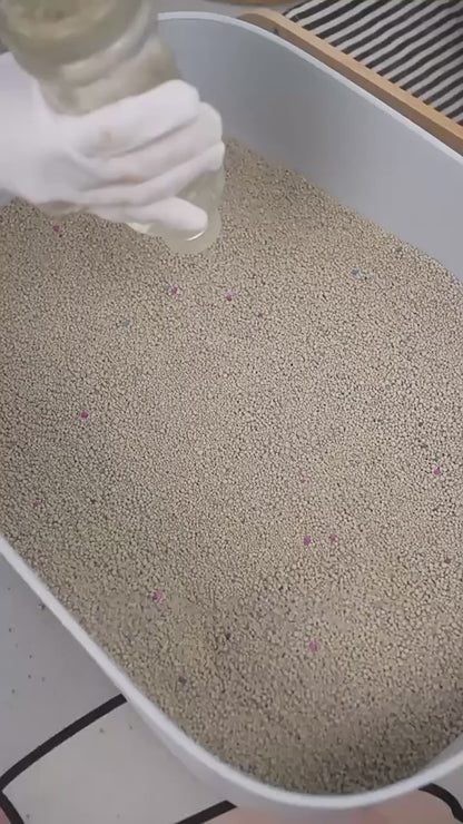 Cat Litter